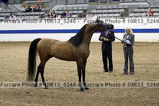 Proof 10r13_5246