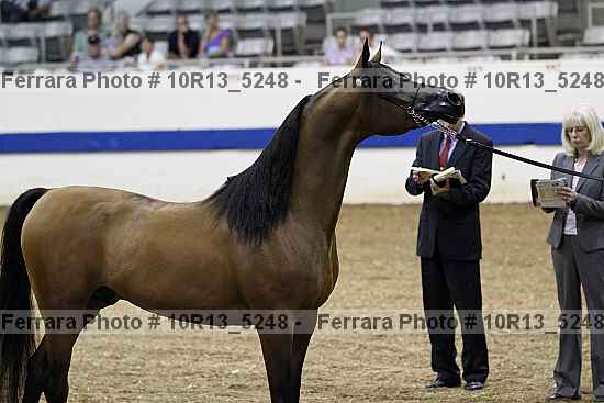 Proof 10r13_5248