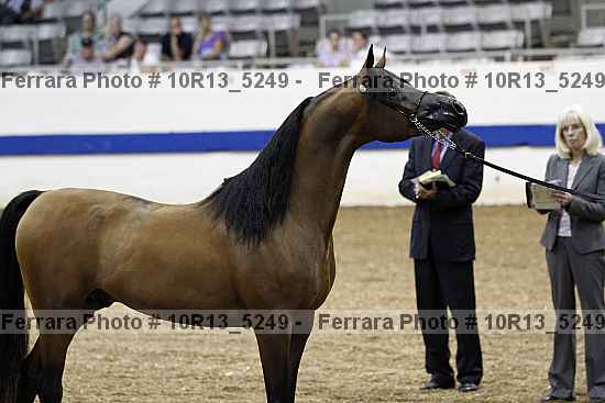 Proof 10r13_5249