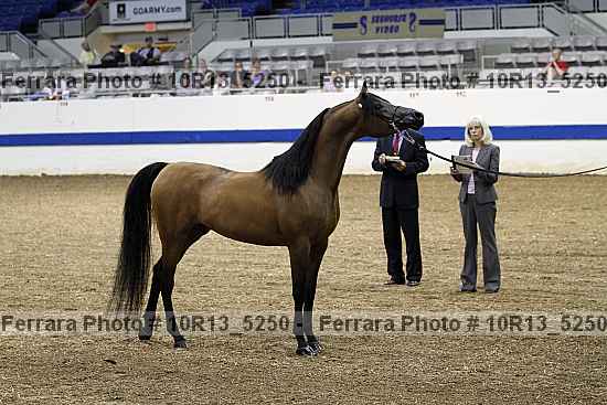 Proof 10r13_5250