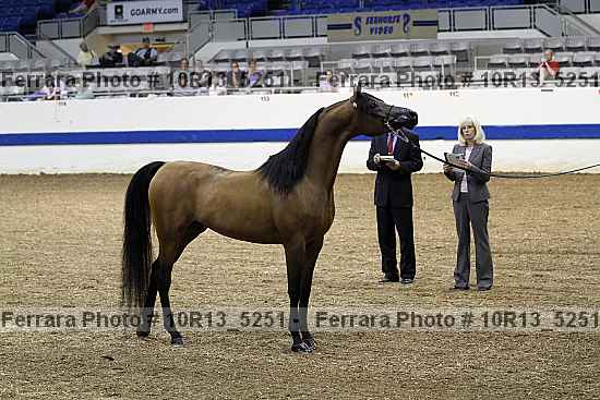 Proof 10r13_5251
