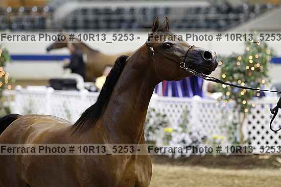 Proof 10r13_5253