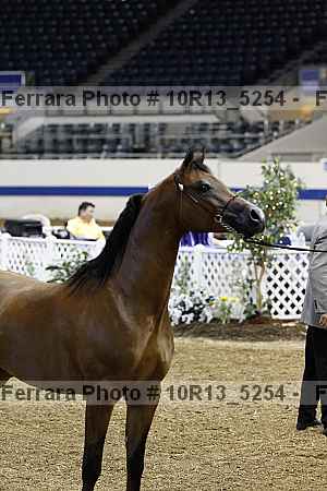 Proof 10r13_5254