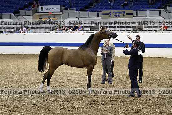 Proof 10r13_5256