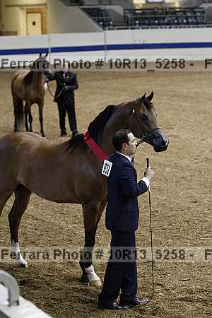 Proof 10r13_5258