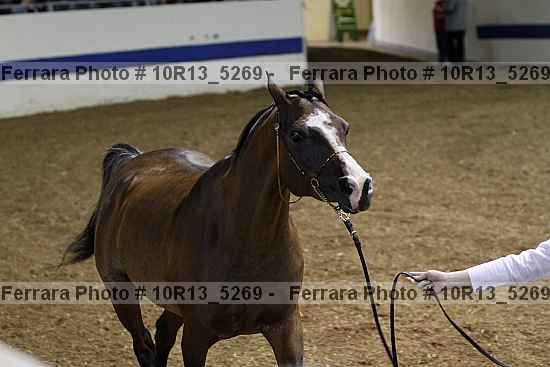 Proof 10r13_5269