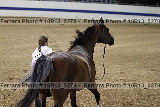 Proof 10r13_5270