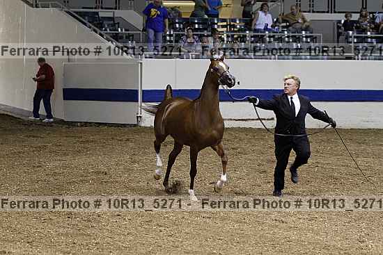 Proof 10r13_5271