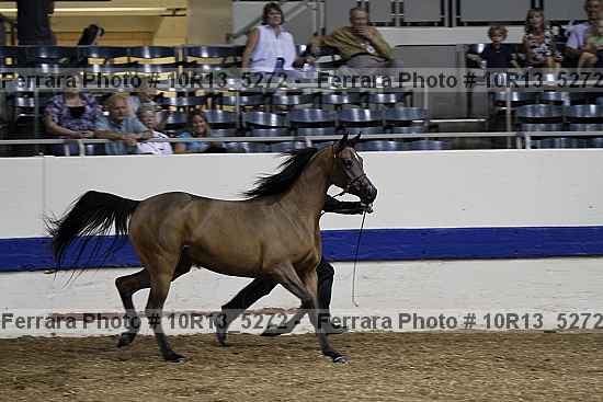Proof 10r13_5272