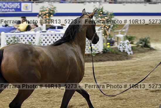 Proof 10r13_5273