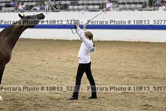 Proof 10r13_5277