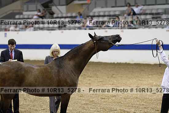 Proof 10r13_5278
