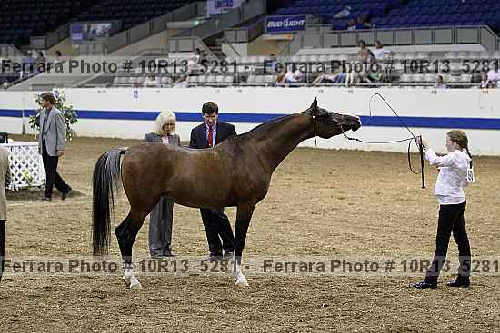Proof 10r13_5281