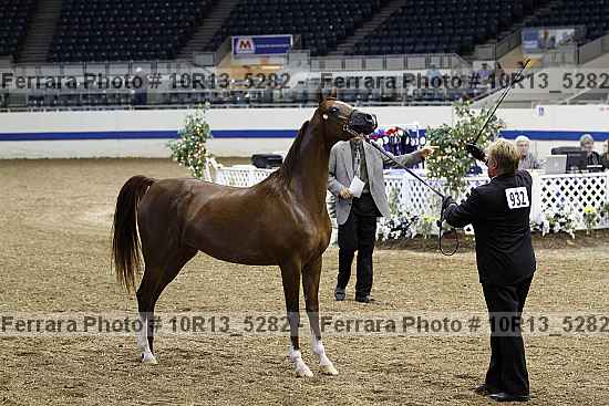 Proof 10r13_5282