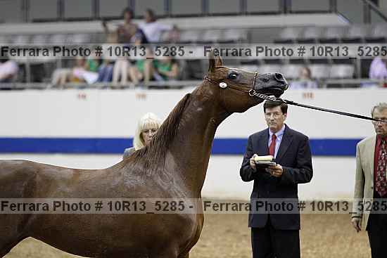 Proof 10r13_5285