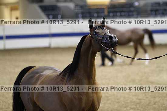Proof 10r13_5291