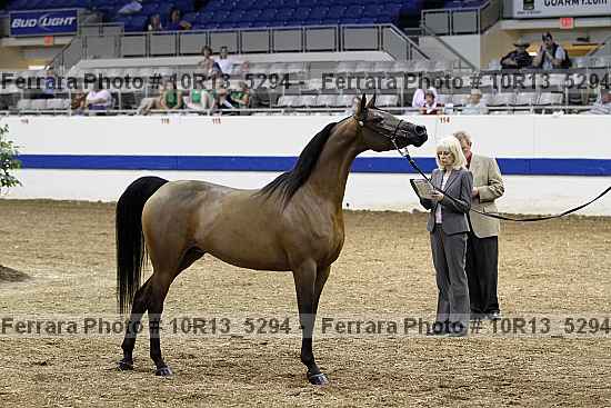 Proof 10r13_5294