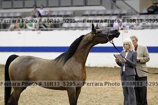Proof 10r13_5295