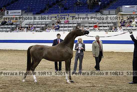 Proof 10r13_5301