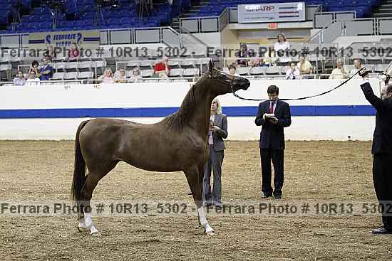 Proof 10r13_5302