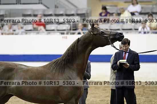 Proof 10r13_5303