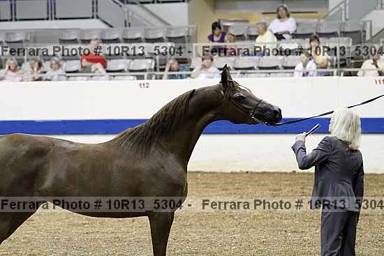 Proof 10r13_5304