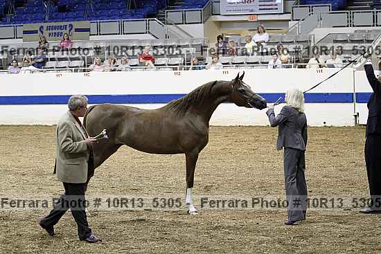 Proof 10r13_5305
