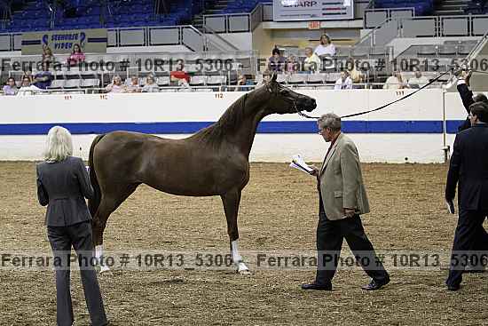 Proof 10r13_5306