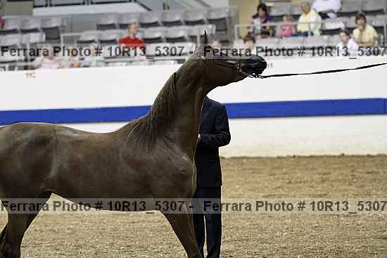 Proof 10r13_5307