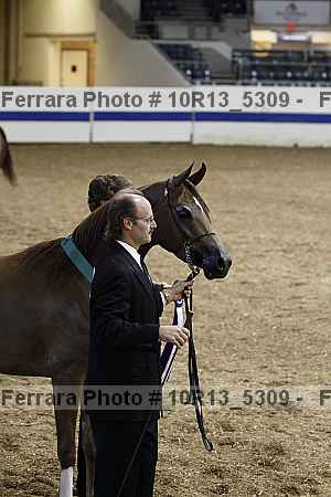 Proof 10r13_5309