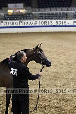 Proof 10r13_5315