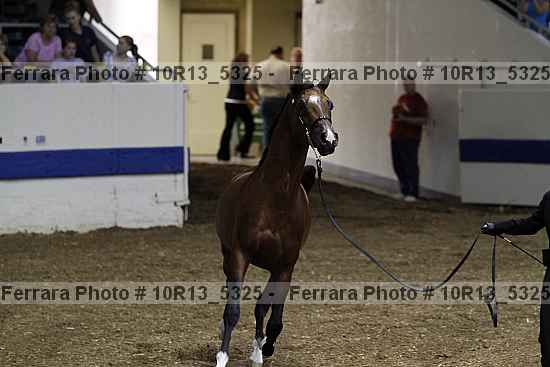 Proof 10r13_5325