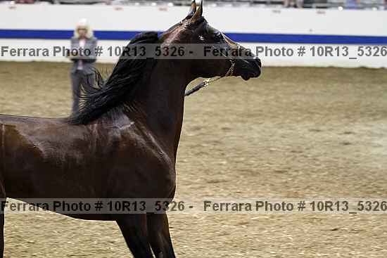 Proof 10r13_5326
