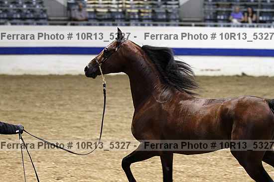 Proof 10r13_5327