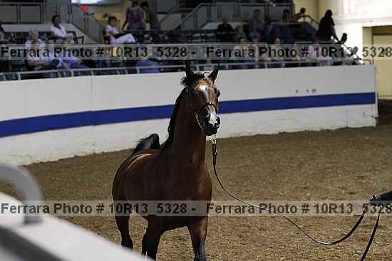 Proof 10r13_5328