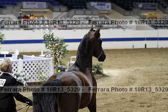 Proof 10r13_5329