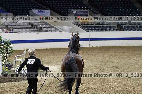 Proof 10r13_5330