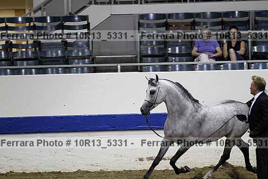Proof 10r13_5331