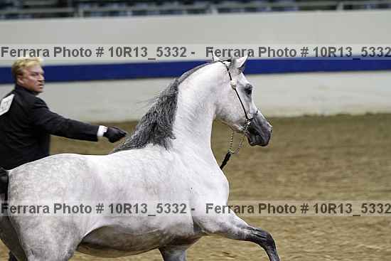 Proof 10r13_5332