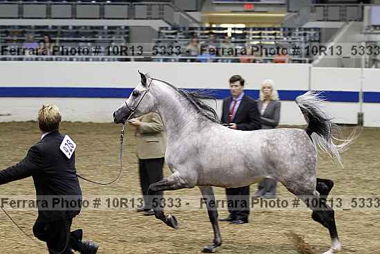 Proof 10r13_5333