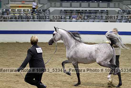 Proof 10r13_5334