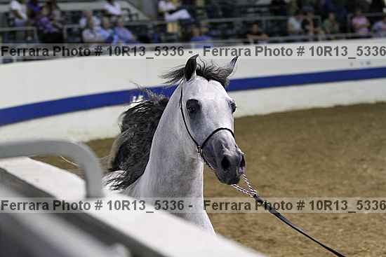Proof 10r13_5336