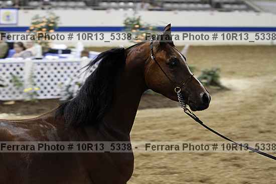 Proof 10r13_5338