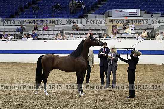 Proof 10r13_5341