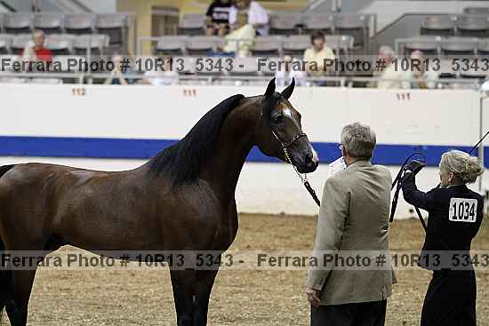 Proof 10r13_5343