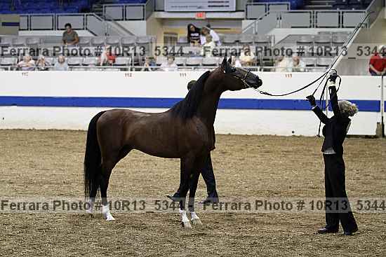 Proof 10r13_5344