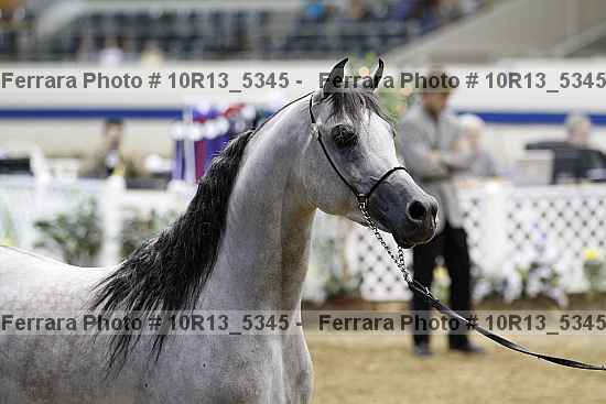 Proof 10r13_5345