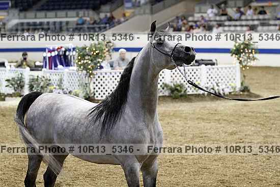 Proof 10r13_5346