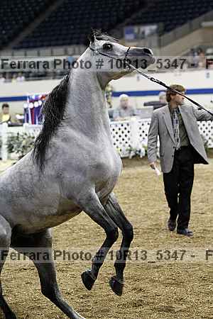 Proof 10r13_5347