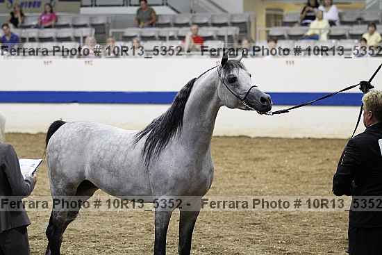 Proof 10r13_5352
